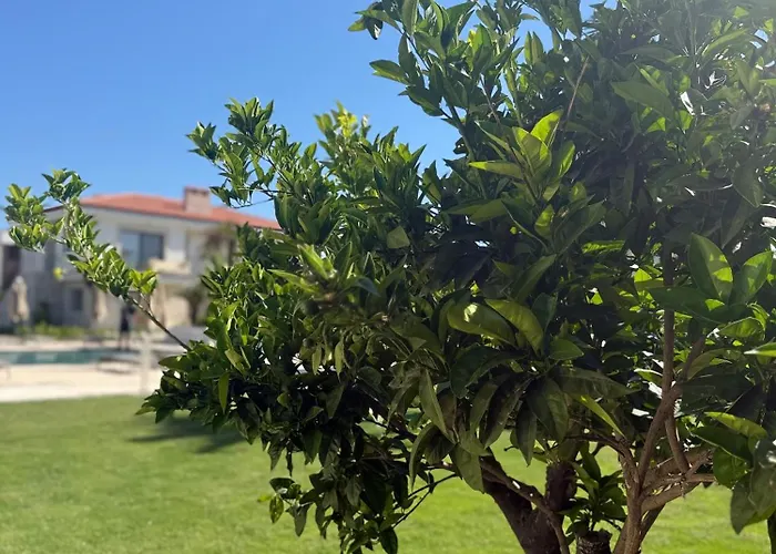 Mara Bahçe Alaçatı Daire Çeşme