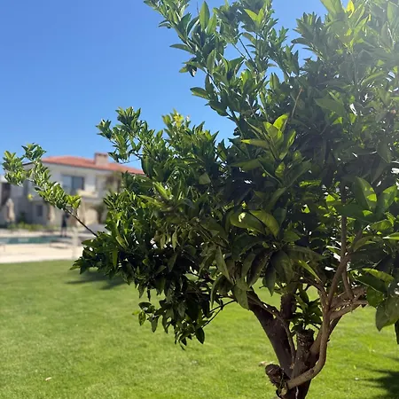 Mara Bahce Alacati Apartment Cesme